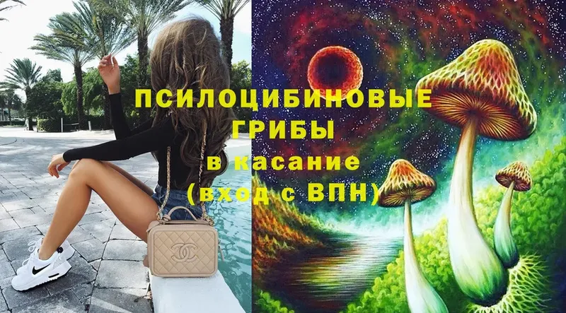 Галлюциногенные грибы MAGIC MUSHROOMS  магазин продажи наркотиков  Исилькуль 